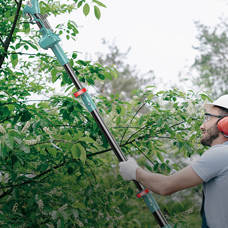 The Ingenious Engineering of Portable Extendable Battery Powered Chainsaw Pruner